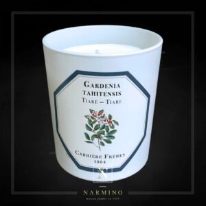 Carrière Frères Tiaré candle