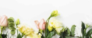 Fond à base de roses jaunes