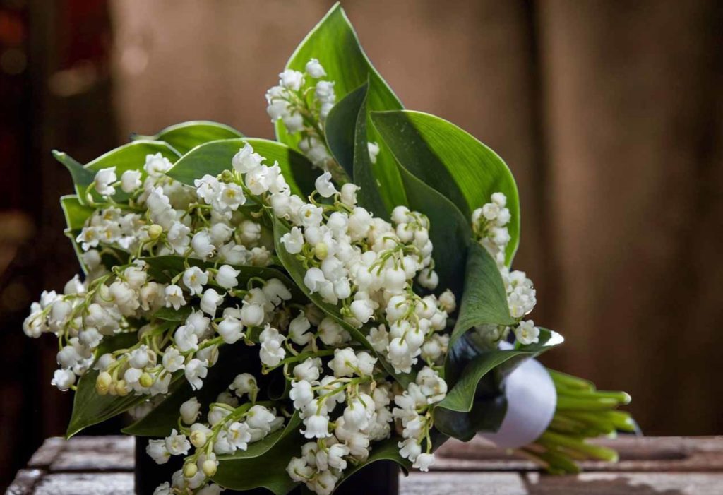 Brins de muguet en bouquet