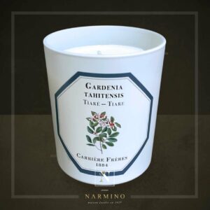 Carrière Frères Tiaré candle