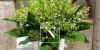 Beautiful sprigs of lily of the valley selected by Narmino