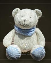 Teddy bear boy with scarf