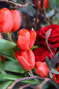 Appassionata, notre bouquet spécial pour la Saint Valentin, réalisé à partir de roses et tulipes rouges.