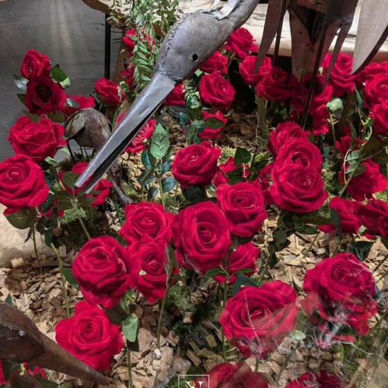 Valentine's Day