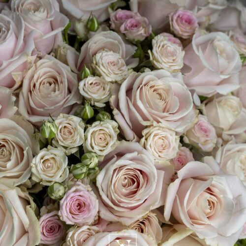 Bouquet of pink roses - Image 2