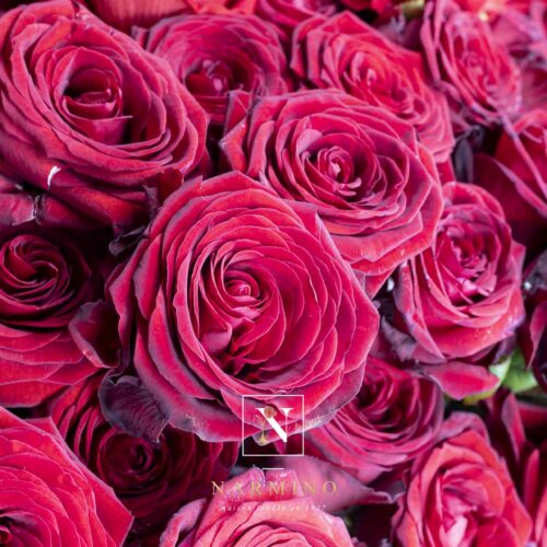 Bouquet of red roses - Image 2